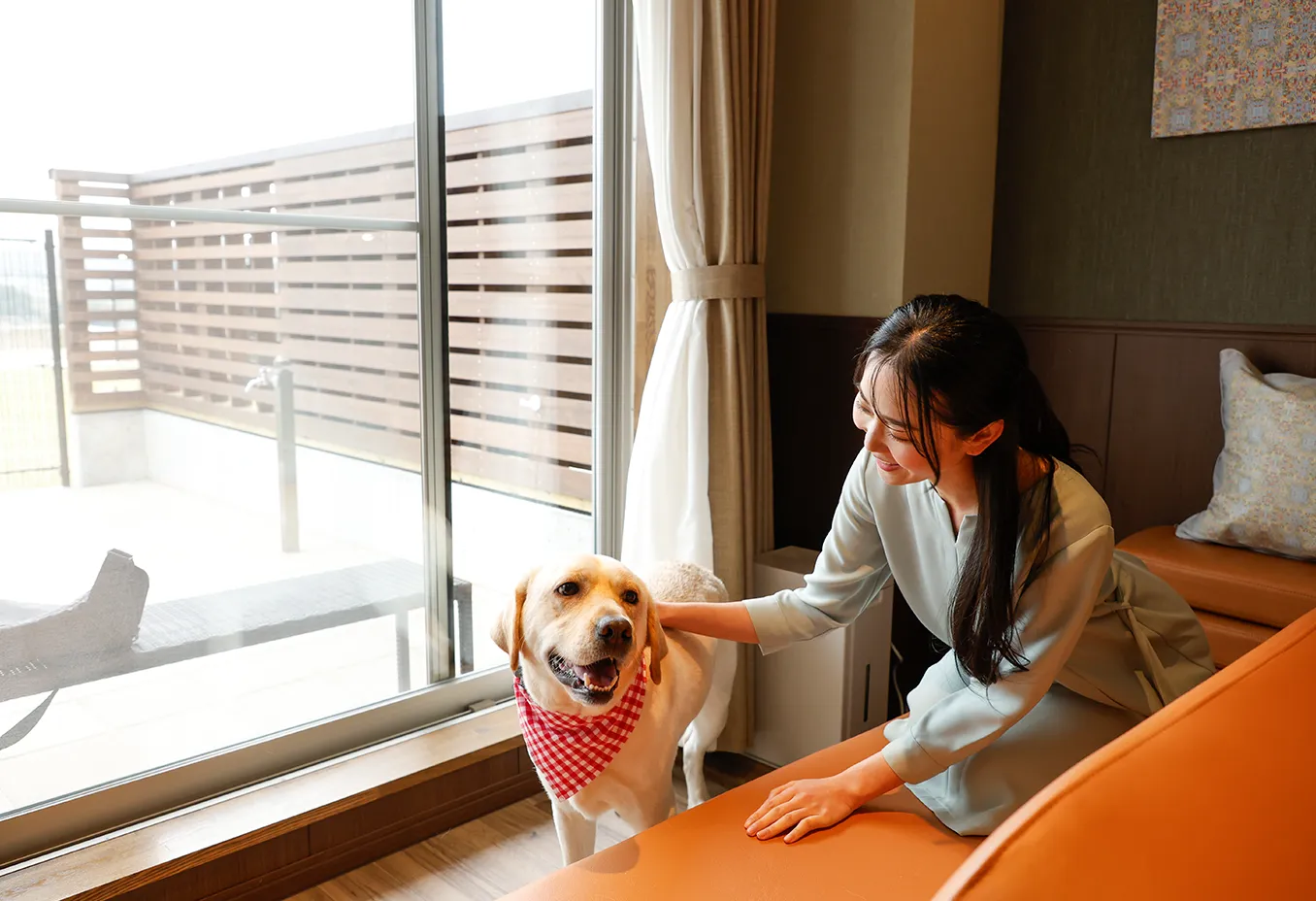 犬とソファ