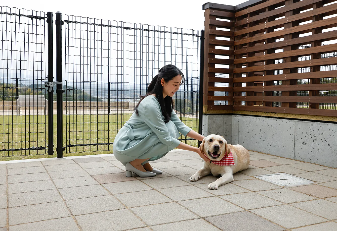 ドッグラン