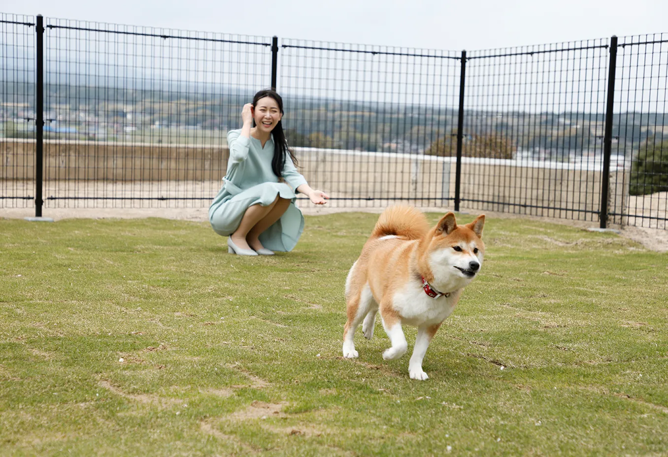 共用ドッグラン